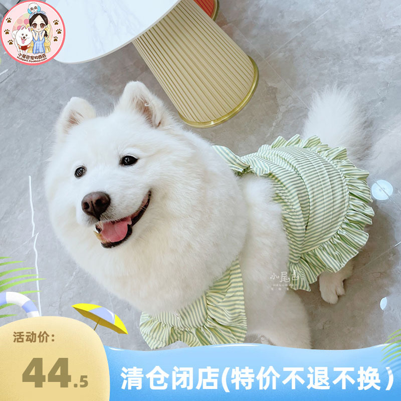 大狗狗夏日甜美条纹蝴蝶结裙子
