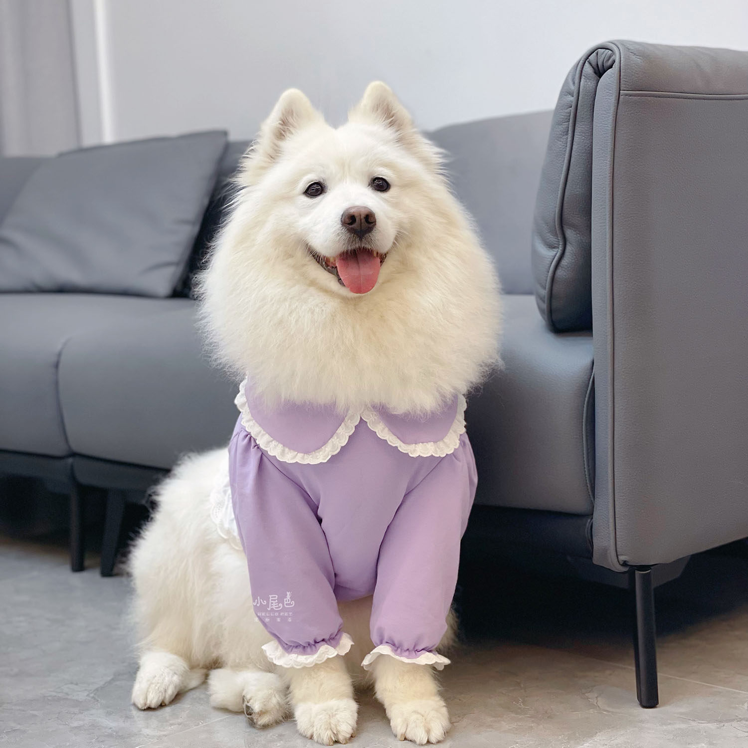 【小尾巴宠物】中大型犬大狗狗春夏可爱紫罗兰复古灯笼袖关节服