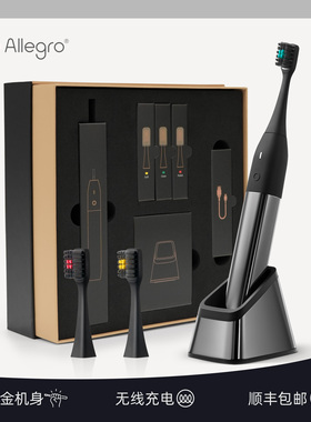 Allegro爱丽歌电动牙刷圣诞好礼成人男女士高级磁吸底座情侣礼物