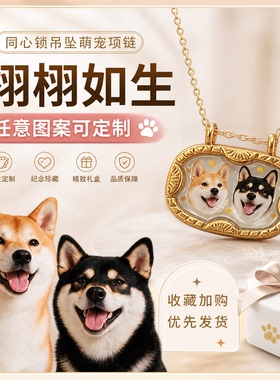 来图定制钛钢项链同心锁宠物纪念