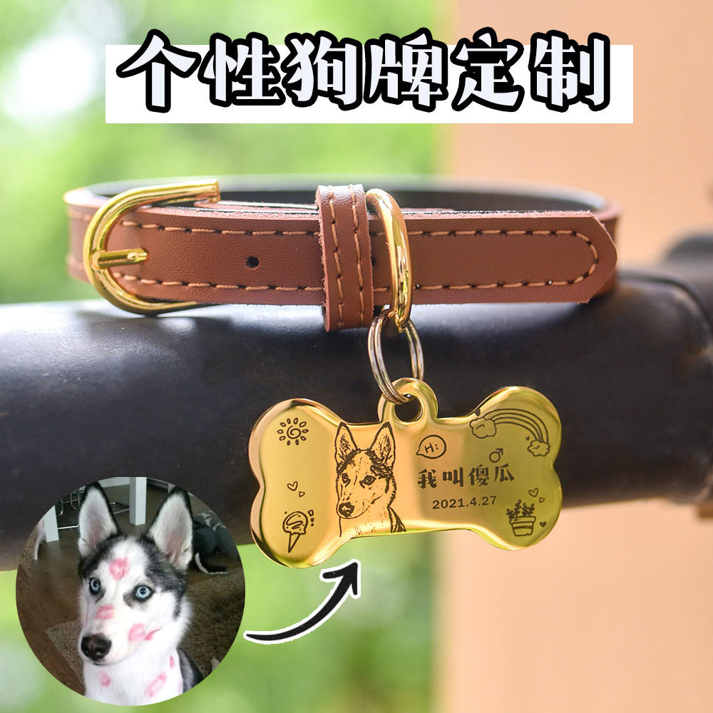 来图定制猫咪刻字项链宠物狗牌图片