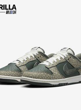 Nike/耐克正品 Dunk Low 男士复古低帮休闲板鞋HF4878-053