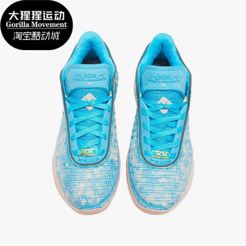 Nike/耐克正品LeBron XX ASW EP男子实战篮球鞋DV1192-400