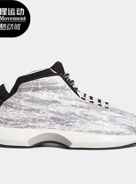 Adidas/阿迪达斯正品新款CRAZY 1 男子运动耐磨透气篮球鞋GY2405