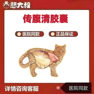 传复清胶囊猫咪传腹传染性腹膜炎宠物营养补充剂干性湿性