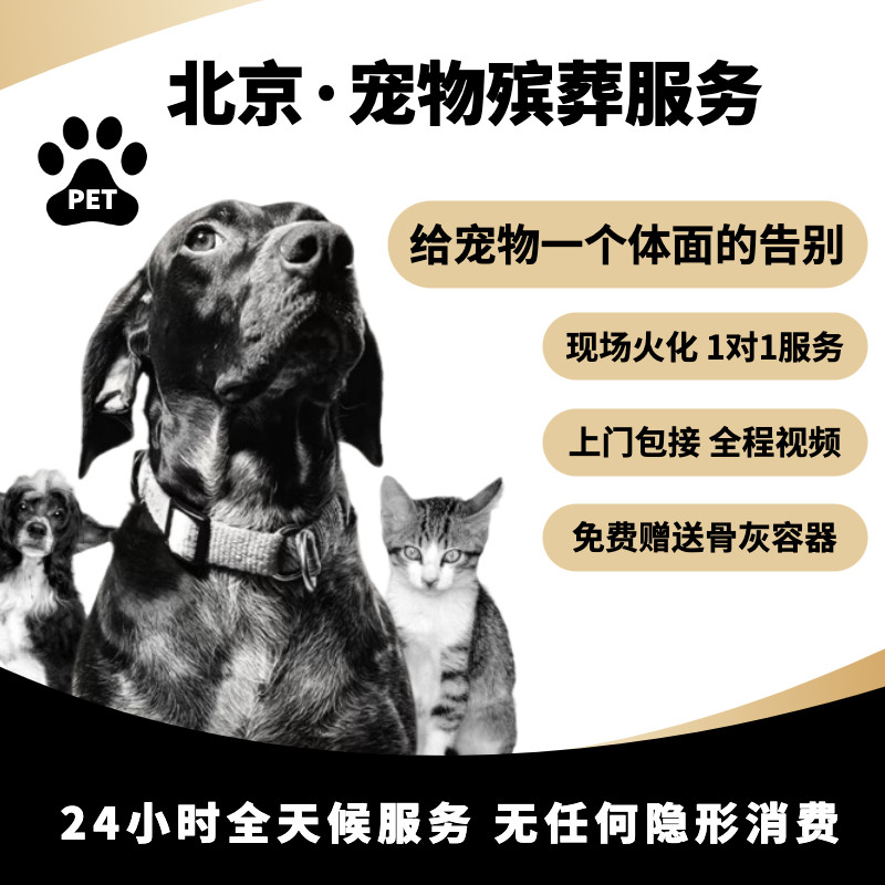 北京宠物火化猫咪狗狗动物殡葬火葬善终安乐服务骨灰晶石纪念饰品