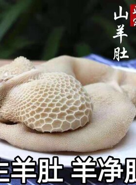 【新鲜羊净肚】净肚毛肚火锅生羊肚子散养现杀羊肝羊心羊肺送调料