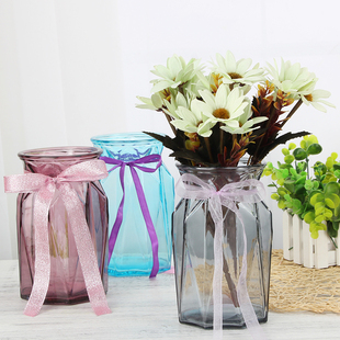 简约小清新家居玻璃花瓶客厅透明绿萝水培插花花瓶 花瓶摆件欧式