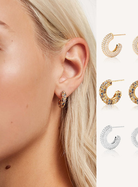 西班牙PD美拉德满镶复古彩宝耳钉女小众镀18k金耳饰秋冬耳环Tiger