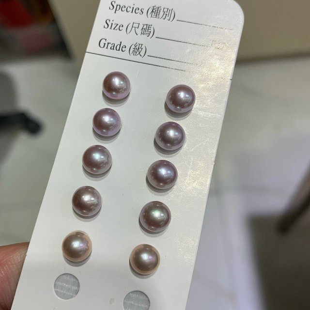 温柔！新春系 | 淡淡的紫调 6点位淡水珍珠耳钉附证书