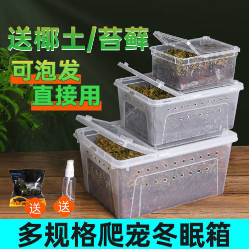 爬虫饲养盒冬眠箱乌龟蜘蛛角蛙蜗牛守宫饲养爬宠箱乌龟缸冬眠生态