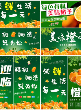 新鲜橙子贴画橙子贴纸自粘水果店墙贴画橙子采摘广告壁画背景墙纸