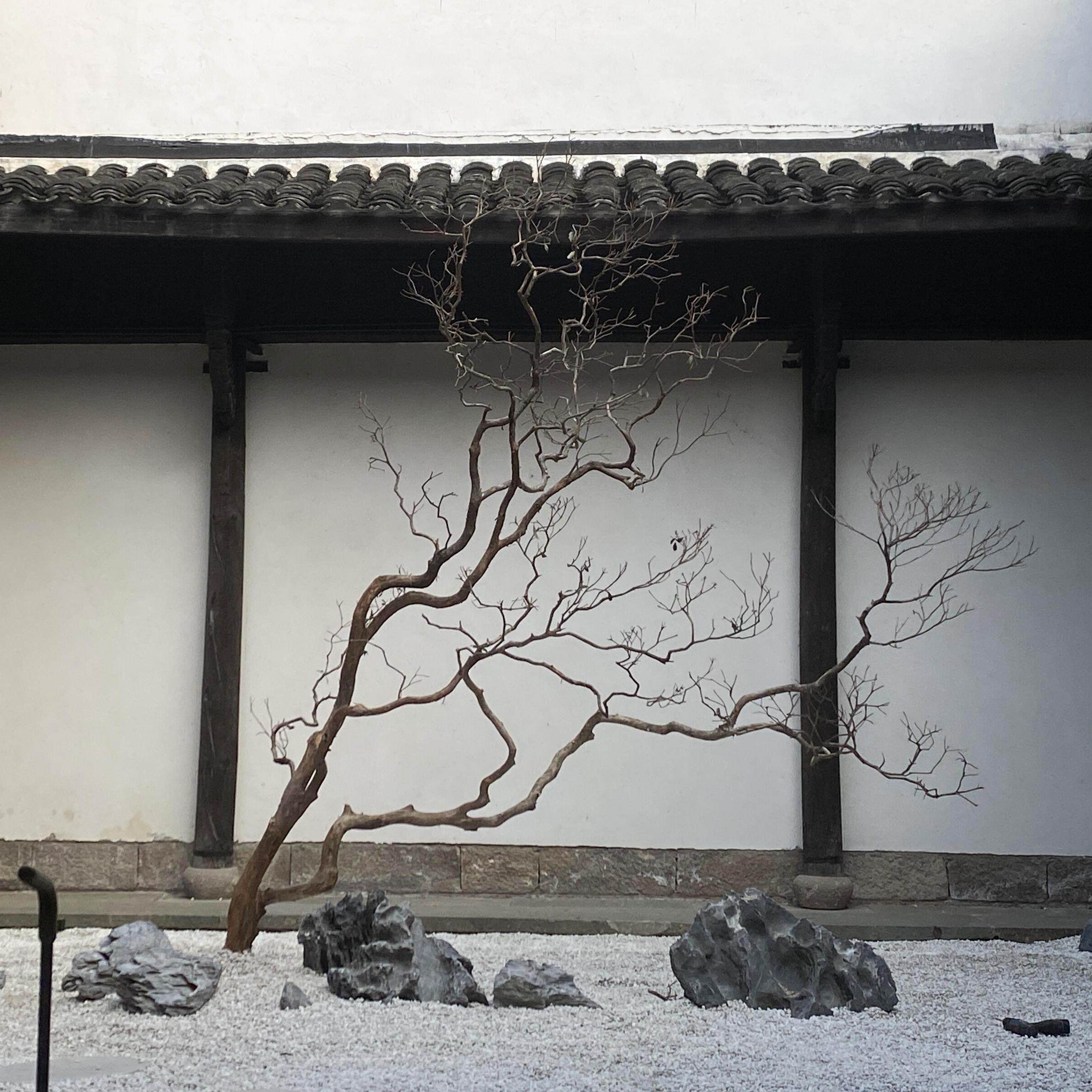 仿真枯树造景日式枯山水禅意景观摆件大型假树枝石头庭院天井装饰