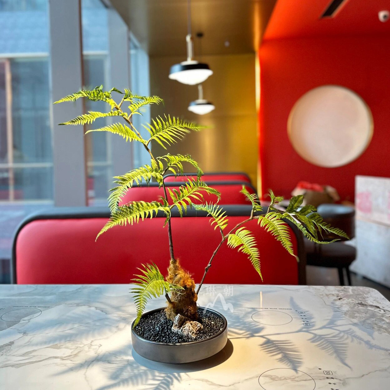 中式禅意狗毛蕨类假绿植玄关茶几吧台摆件创意仿真盆景侘寂风盆栽