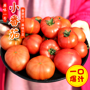 密云农家 酸甜爆汁皮薄味浓3斤 新鲜原味一号番茄 自然熟西红柿