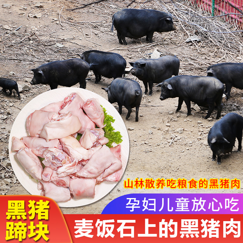 密水农家  国产新鲜跑山黑猪肉黑猪蹄块600g 切剁好发货 带筋前蹄,水产肉类/新鲜蔬果/熟食,生猪肉,淘宝优惠券,粉丝福利购,淘宝优惠卷