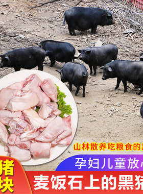 密水农家  国产新鲜跑山黑猪肉黑猪蹄块600g 切剁好发货 带筋前蹄
