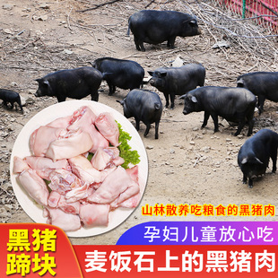 带筋前蹄 切剁好发货 密水农家 国产新鲜跑山黑猪肉黑猪蹄块600g