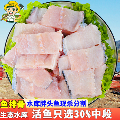 密水农家水库鱼 新鲜胖头鱼当日捕捞鲜鱼 现杀现发花莲 生态鱼