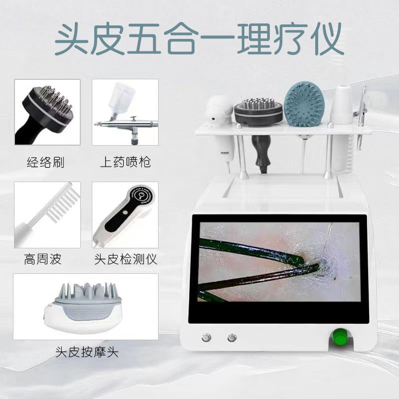 养发头疗馆五合一头皮毛囊理疗仪检测经络理疗震动按摩雾化上药仪图片