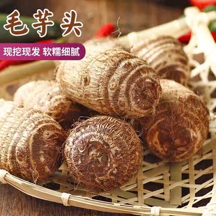 新鲜现挖牛奶小芋头小毛软糯香滑农产品芋艿新鲜蔬菜竽头小香芋仔