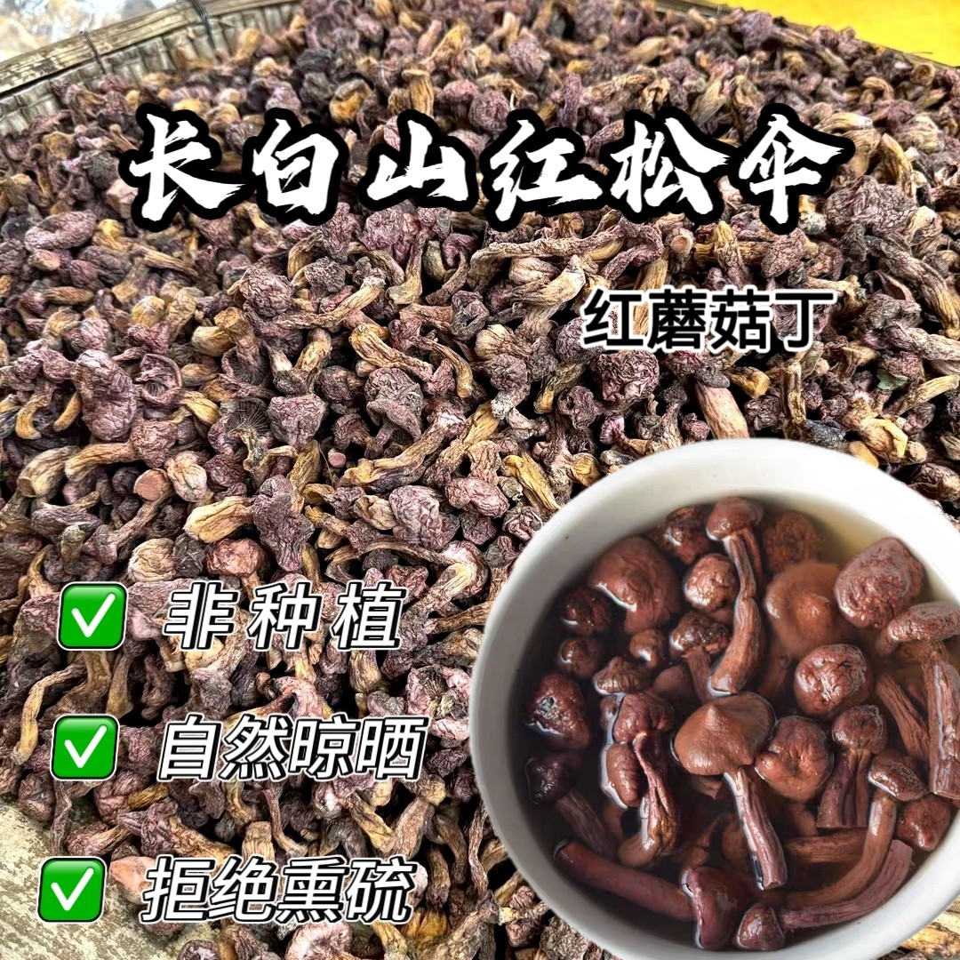长白山非种植【头茬红蘑丁】红松伞蘑菇肉蘑菇红蘑菇（发顺丰）
