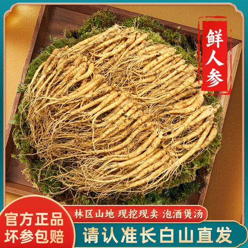 长白山人参新鲜东北整枝鲜参泡酒煲汤大小叁多款规格人参礼盒