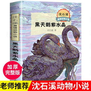 狼王梦作者动物小说大王沈石溪激情动物小说系列8 儿童文学故事正版 15岁中小学生必读课外阅读书籍读物经典 黑天鹅紫水晶