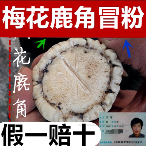 鹿角帽粉100g鹿角吉林