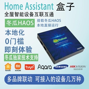 新机型HomeAssistant盒子全志H618智能家居网关homekit助理T95Max