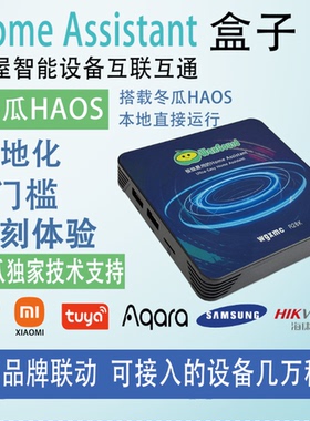 HomeAssistant盒子智能家居盒子网关苹果homekit家庭助理