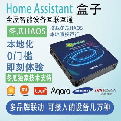 Homeassistant盒子智能家居盒子