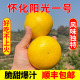 湖南怀化阳光一号桔柚新品 橙子皮薄肉嫩多汁清甜新鲜采摘产地发货
