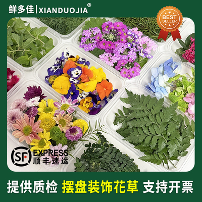 烘焙蛋糕装饰叶子清香木三色堇