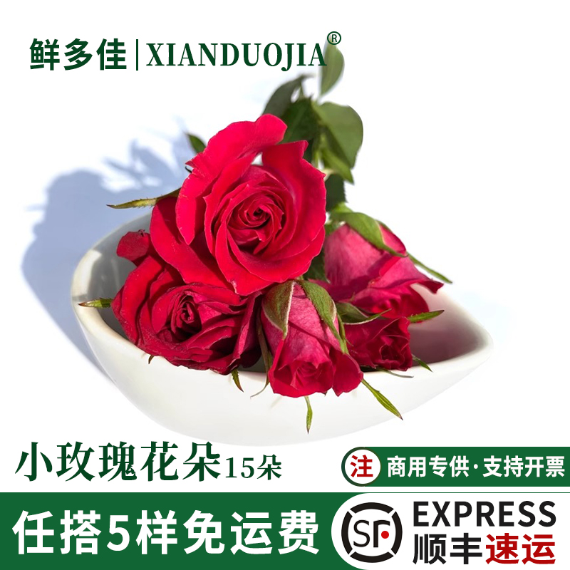小玫瑰花朵新鲜月季花朵迷你玫瑰
