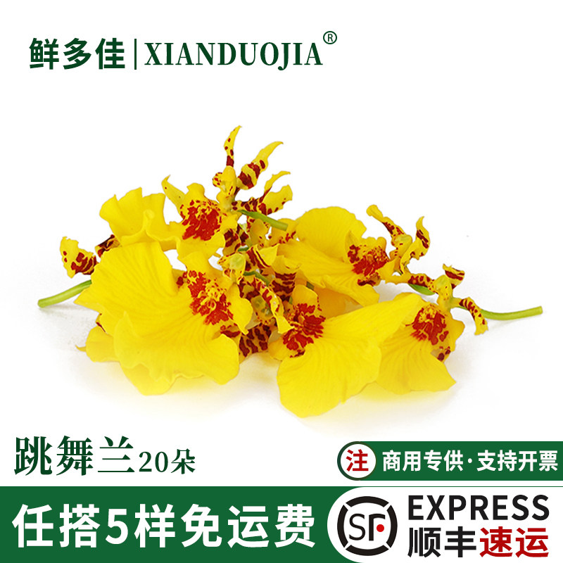 跳舞兰新鲜文心兰金蝶兰花装饰花