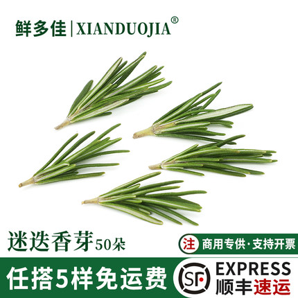 新鲜迷迭香芽可食用花草蛋糕装饰摆盘点缀烧烤烘焙调料西餐煎牛排
