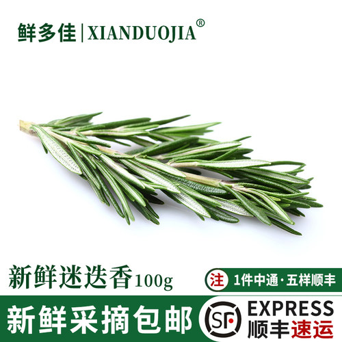 新鲜迷迭香煎牛排用食用香料装饰