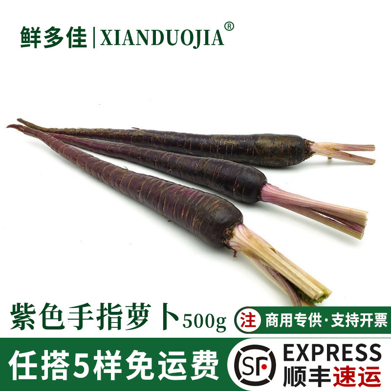 紫色手指萝卜可食用蔬菜沙拉白嫖