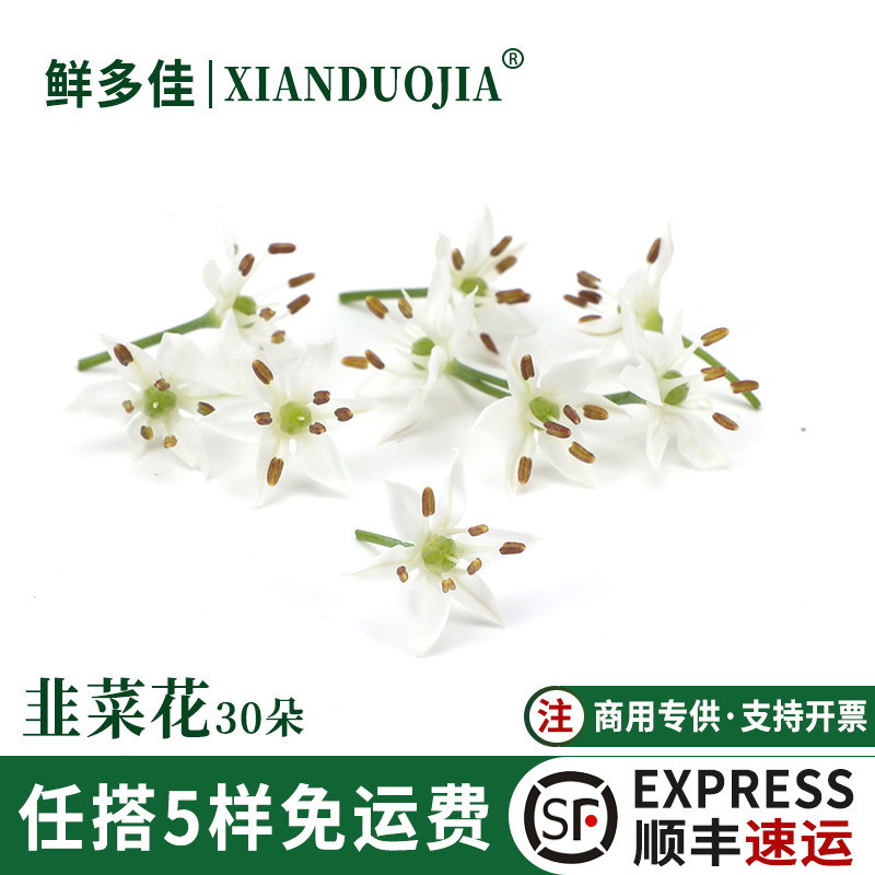 韭菜花新鲜韭菜花苞食用蔬菜酒店西餐日料摆盘蛋糕装饰花草花朵