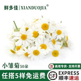 洋甘菊新鲜迷你菊花鲜花西餐日料刺身摆盘蛋糕装饰花草小雏菊翠菊