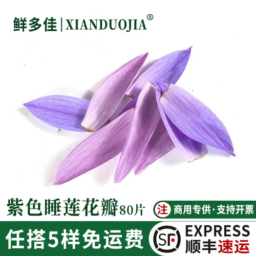 睡莲花瓣新鲜荷花瓣蓝莲花鲜花