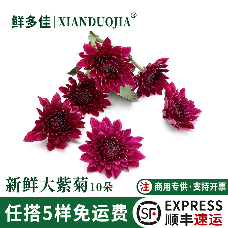 新鲜紫色菊花纽扣彩菊紫菊鲜花