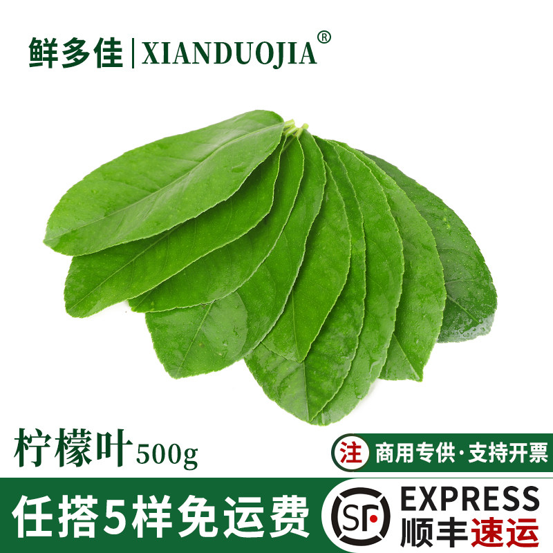 柠檬叶新鲜青柠叶泰国香料冬阴功汤原料鱼生佐料饮品柠檬奶茶原料