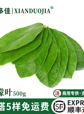 柠檬叶新鲜青柠叶泰国香料冬阴功汤原料鱼生佐料饮品柠檬奶茶原料