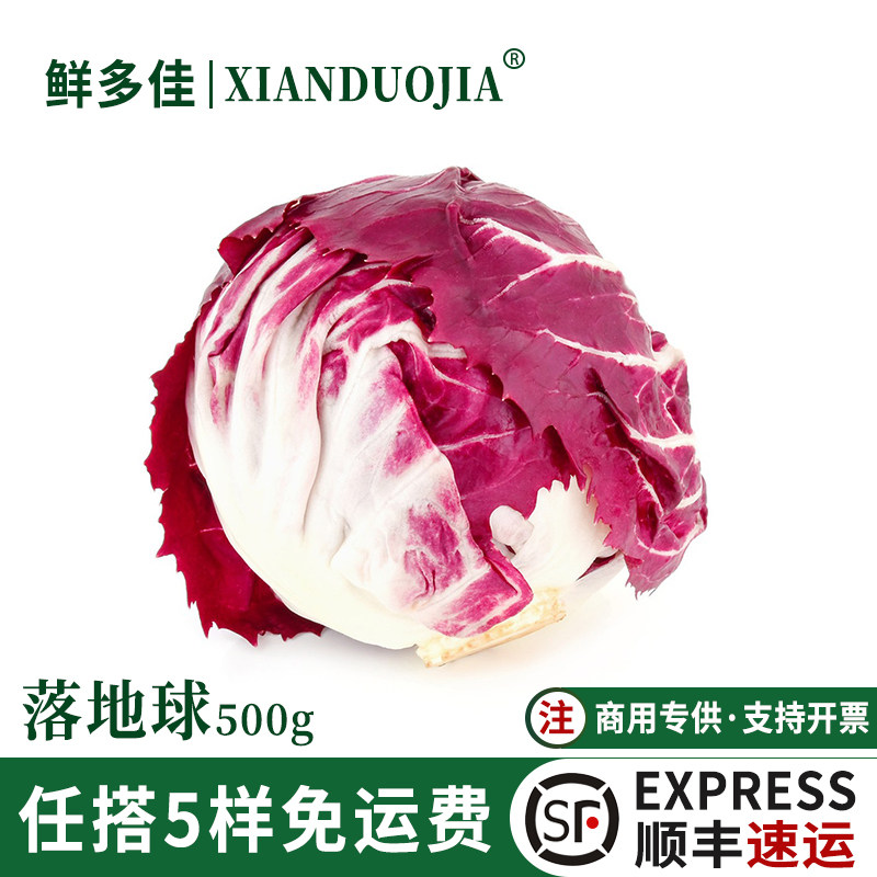 落地球新鲜生菜紫苣红菊苣红卷心菜西餐食材即食轻食沙拉蔬菜500g