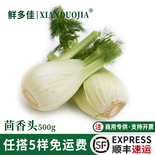 茴香头新鲜茴香根茎酒店西餐配料调料调味球茎茴香菜蔬菜现挖现发