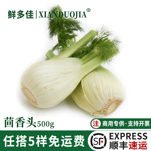 茴香头新鲜茴香根茎酒店西餐配料