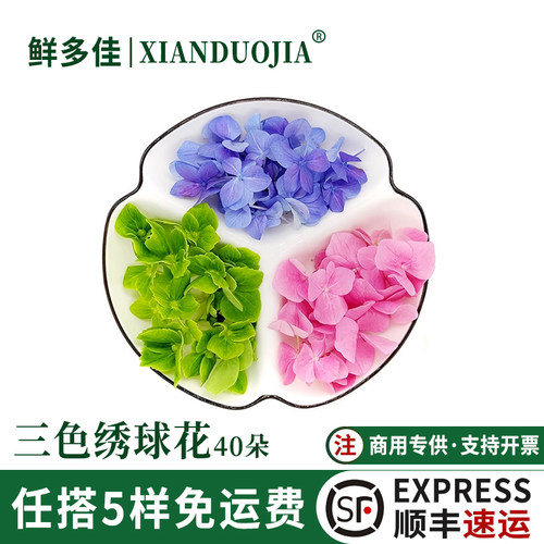 新鲜绣球花花朵红蓝绿三色绣球花