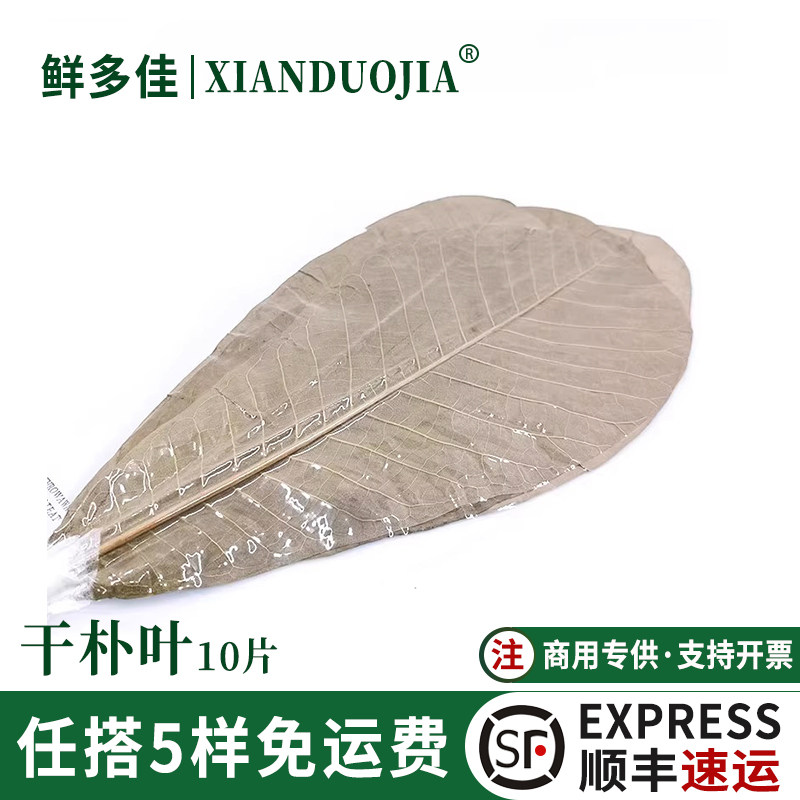 干朴叶蒲叶干燥寿司造型烧烤日料摆盘日式意境装饰烤肉垫纸丹麦叶